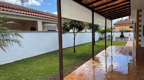 Foto 4 de Casa o chalet de alquiler en Calle el Greco, 3, Loreto, Espartinas