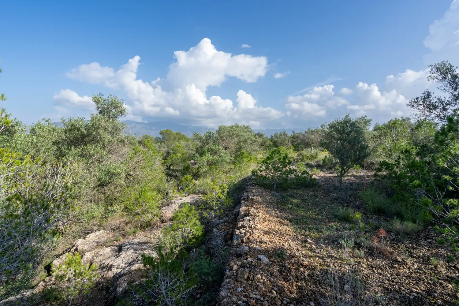 Terrain rustique à vendre à C-12 30, imagen 7