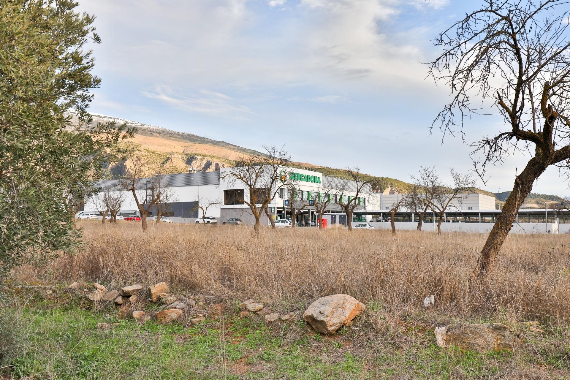 Exterior view of Residential for sale in Nigüelas