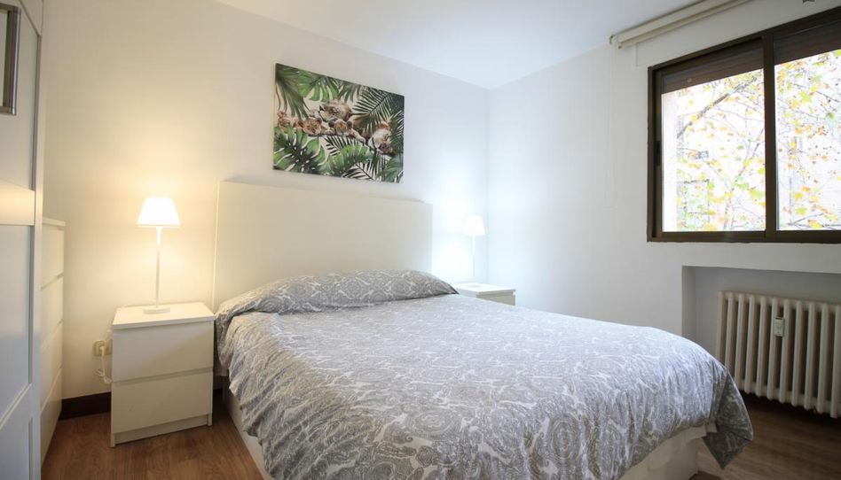 Estudio de alquiler en Nueva España - Imagen 3