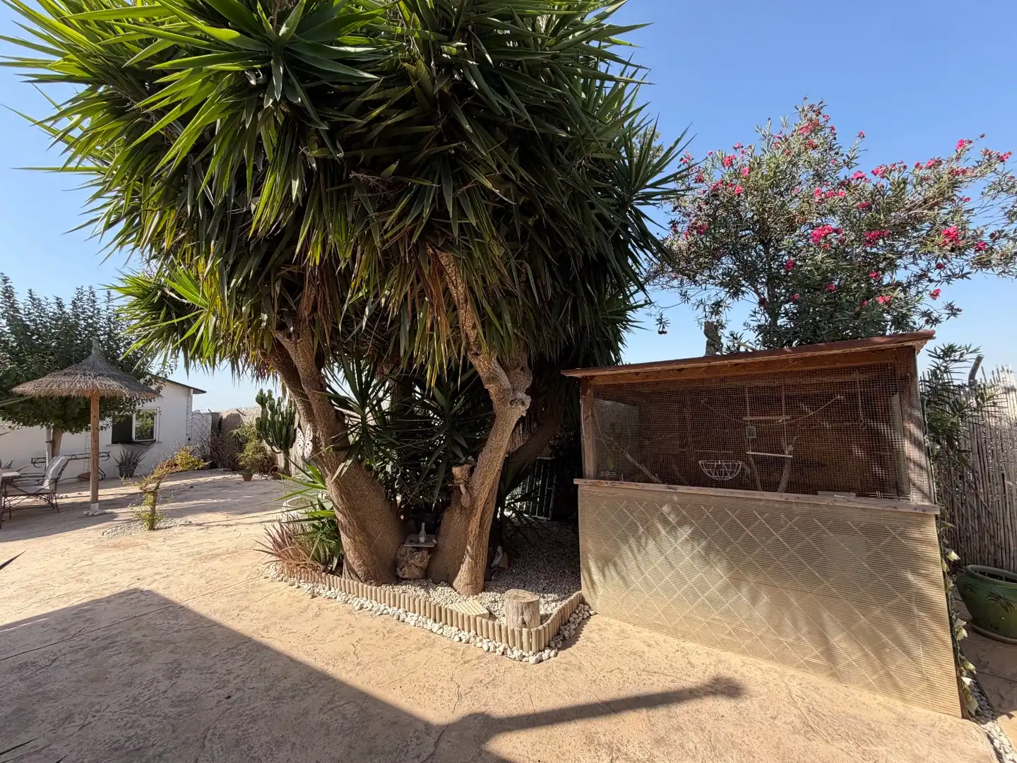 Casa rustica con piscina in vendita a La Marina, imagen 42