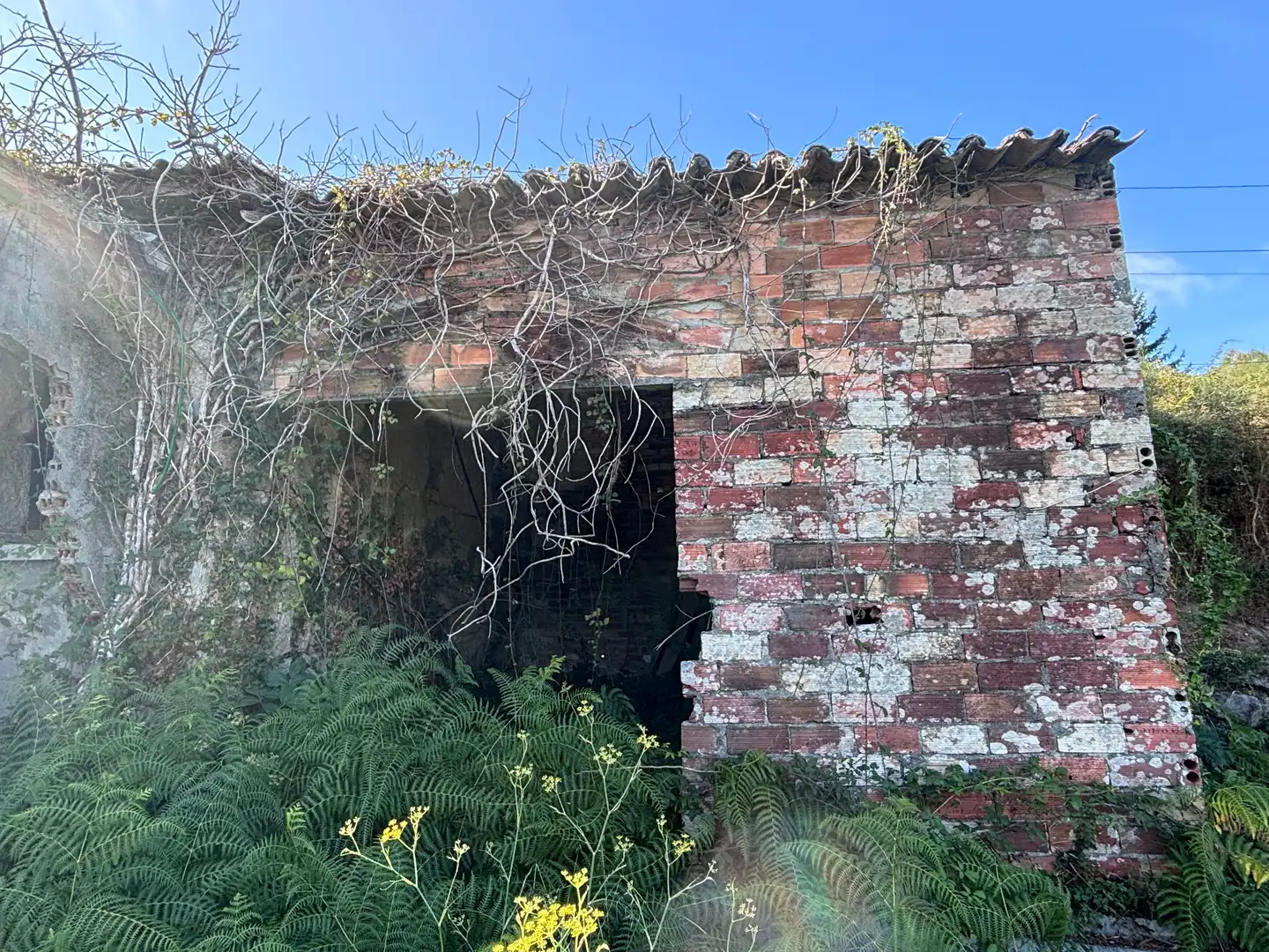 Landhaus zum Verkauf in Lugar Borrateiros, imagen 29