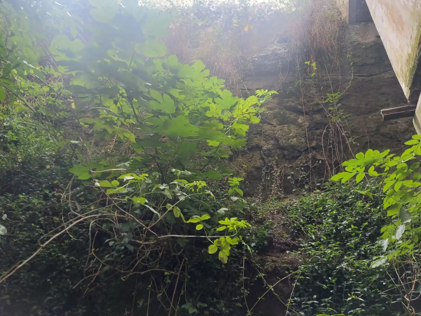 Gewerbefläche zum Verkauf in Calle Cardenal Cisneros 48, imagen 8