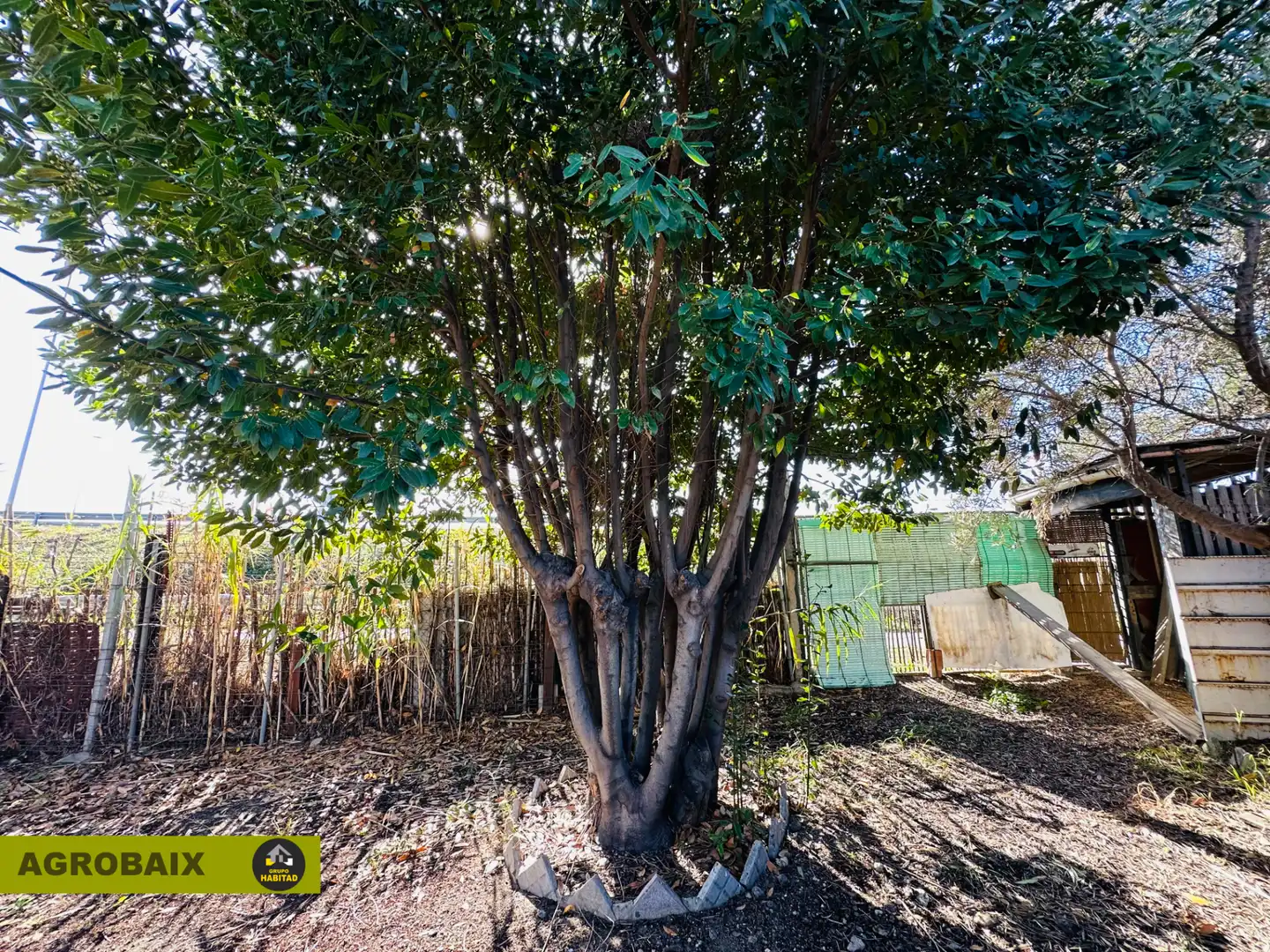 Jardín de Terreno en venta en Sant Joan Despí