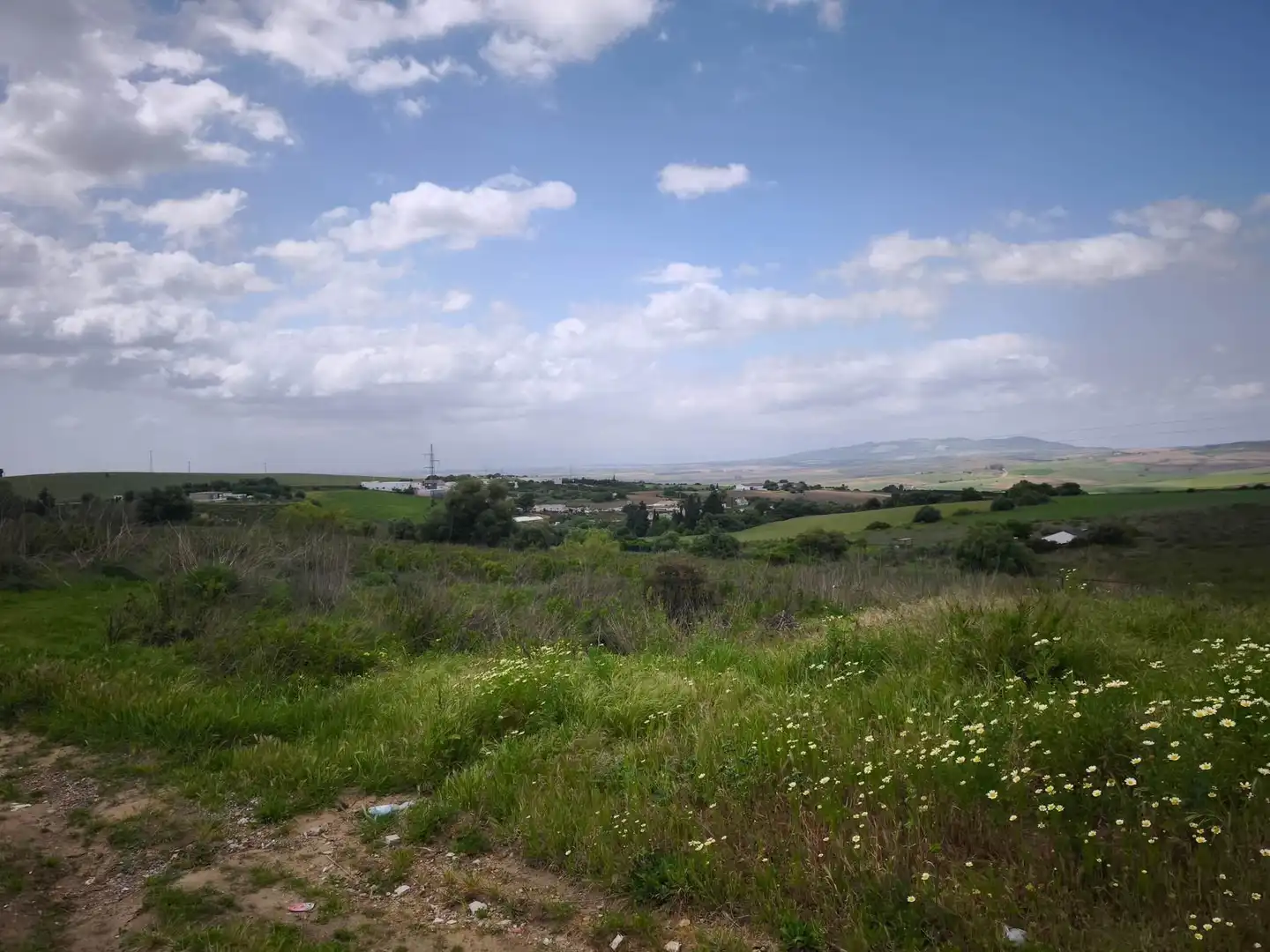 Terreny rústic en venda a Arcos de la Frontera, imagen 7