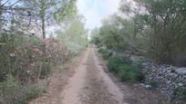 Finca rústica en venda a Llubí, imagen 3