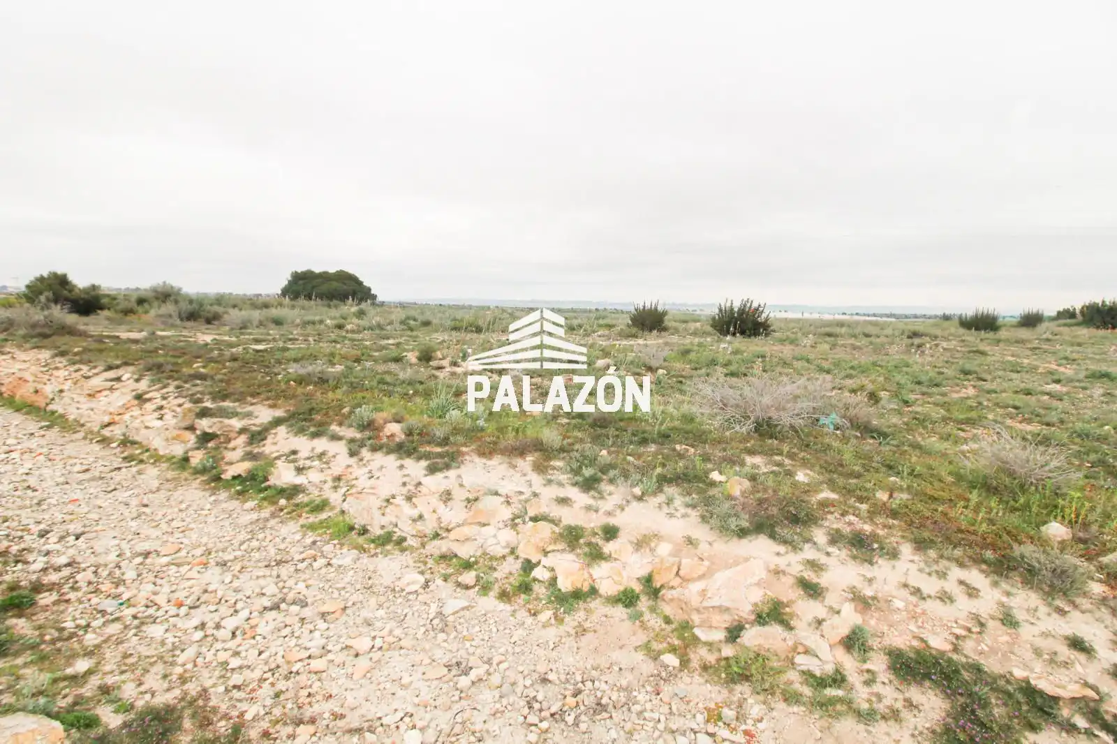 Rural land for sale in Rojales, imagen 2