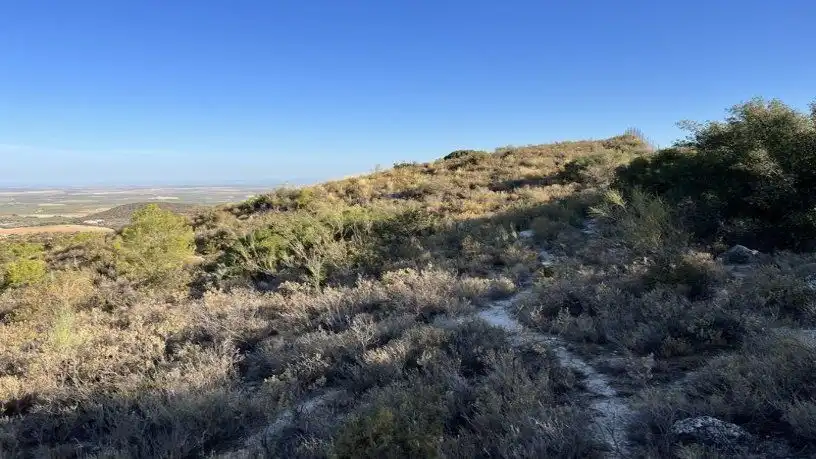 Finca rústica en venta en San Antonio O Guardarropa Pol 115.par 8,9 y 15, Osuna