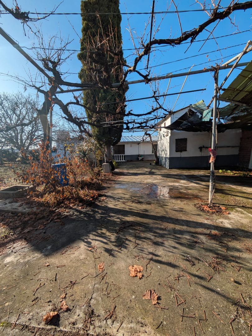 Vista exterior de Finca rústica en venda en Morata de Tajuña