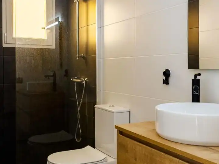 House with garden for sale in Carrer Comerç 160, imagen 6