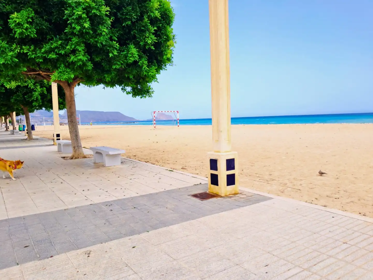 Mini appartamento con terrazza in vendita a Altea ciudad, imagen 32