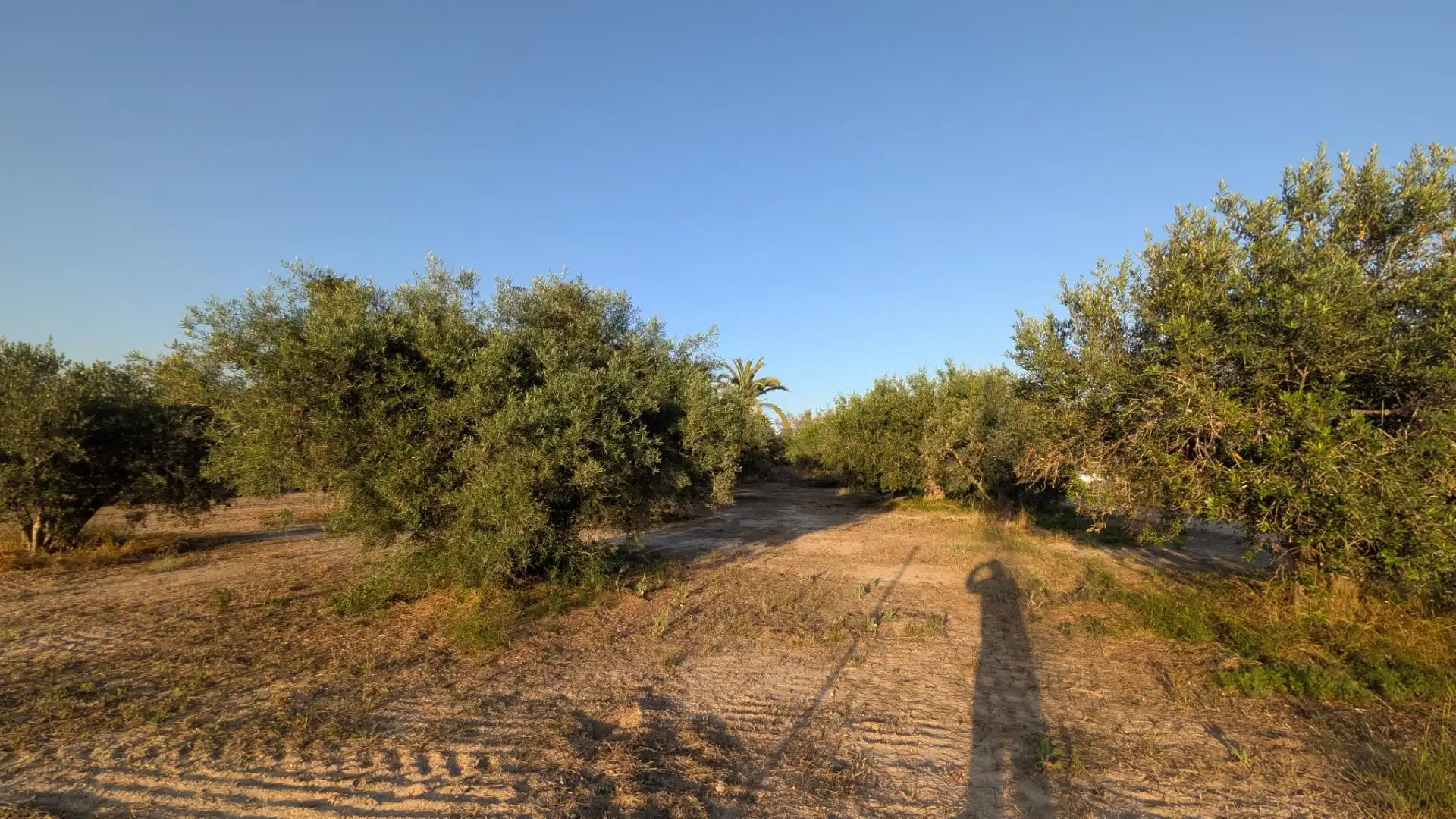 Rustikales Grundstück zum Verkauf in Algorós - El Derramador, imagen 14