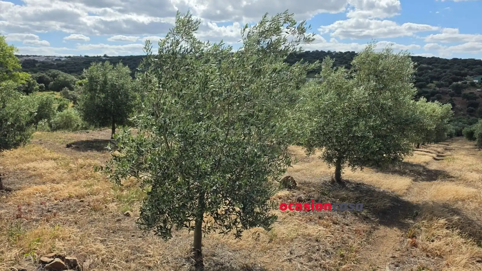 Residential land for sale in Fuente Obejuna, imagen 11