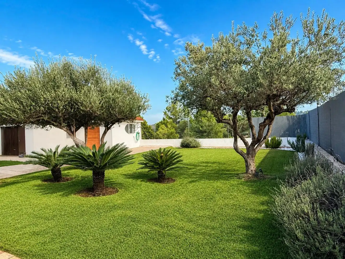 Jardín de Casa o chalet en venta en Carlet con Aire acondicionado, Calefacción y Jardín privado