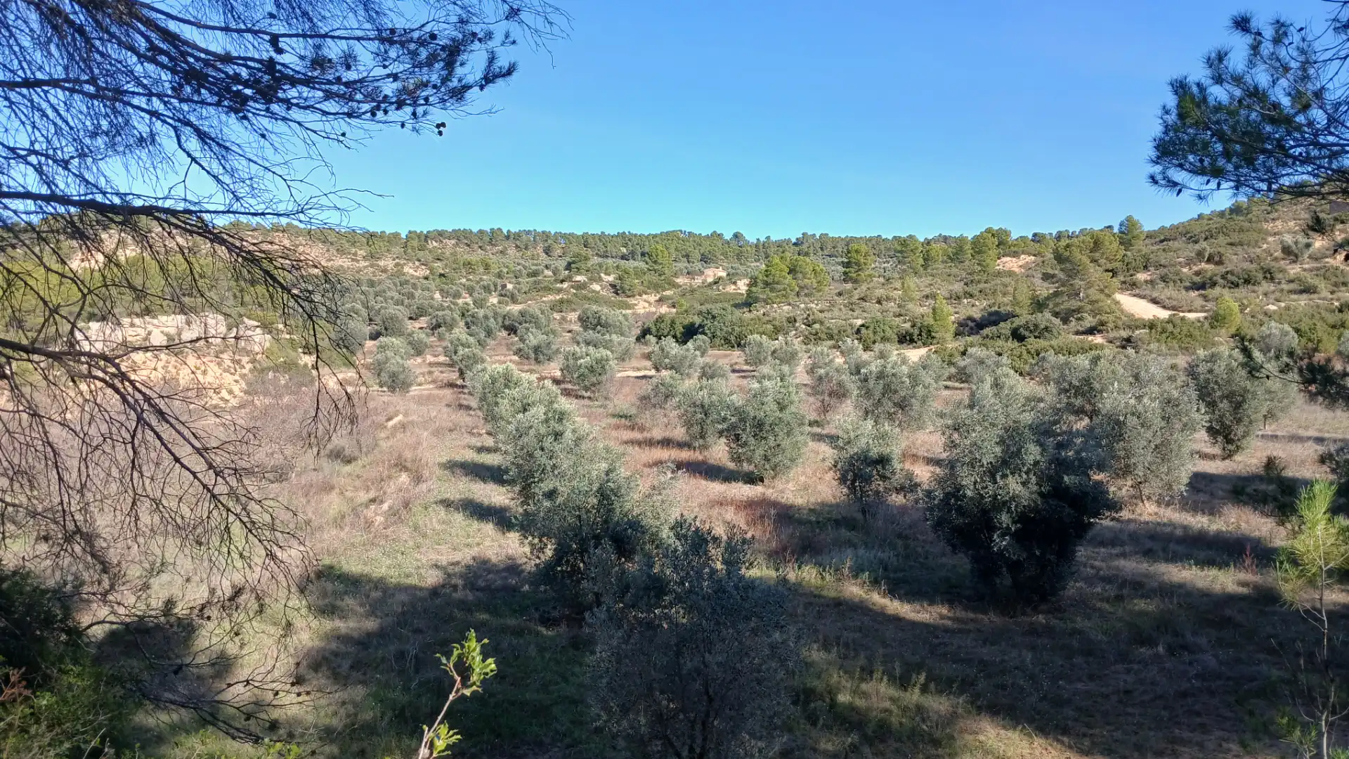 Terreni e lotti in vendita a Calaceite, imagen 14