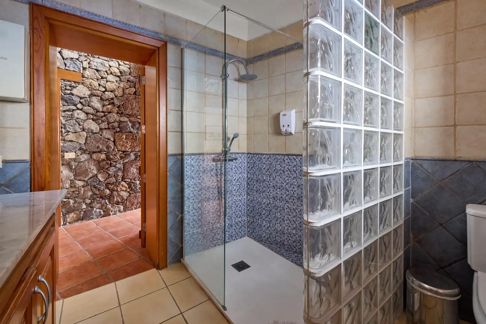Baño de Casa o chalet en venta en Valverde (Santa Cruz de Tenerife) con Jardín privado