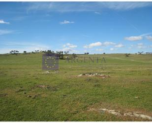 Finca rústica en venda en Torrejoncillo