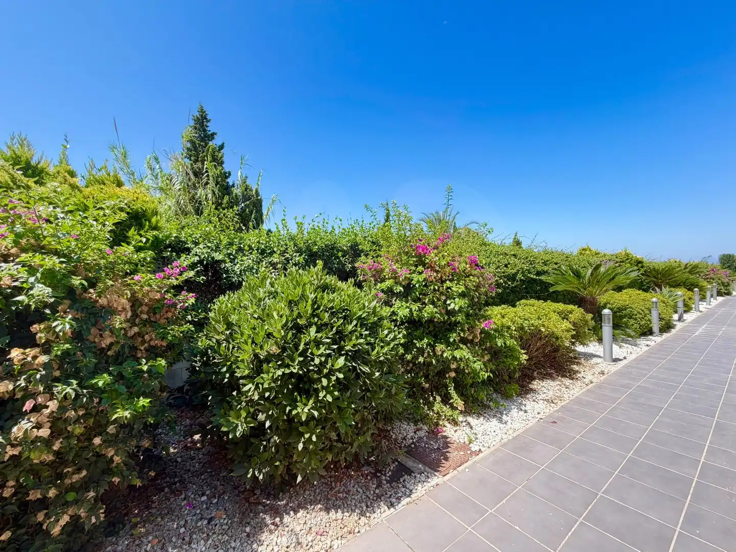Appartamento con piscina in vendita a Oliva Nova, imagen 34