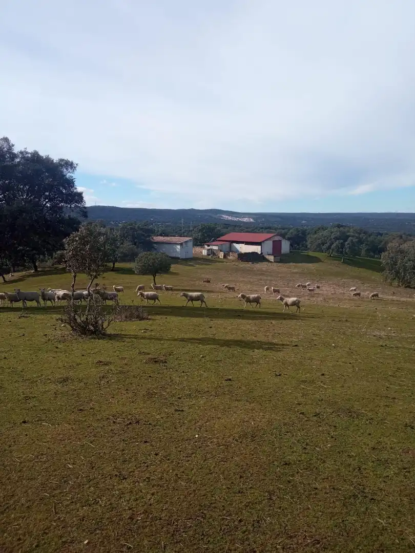 Vista exterior de Finca rústica en venda en Cardeña