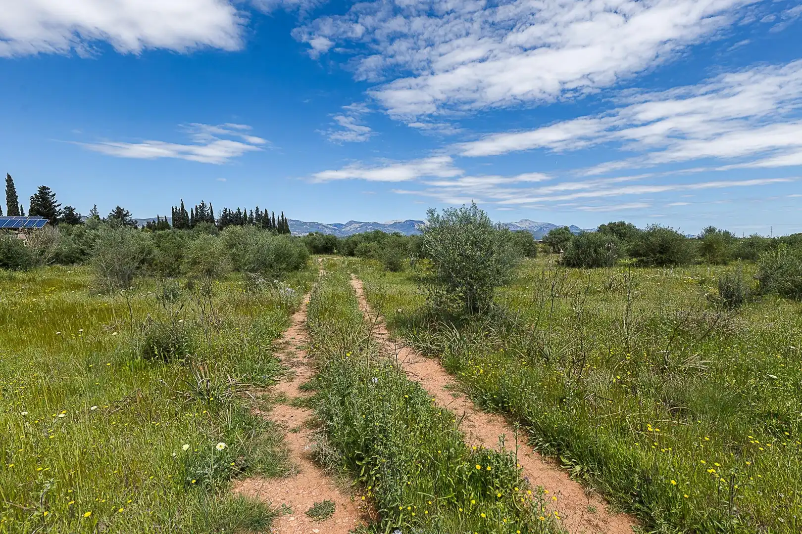 Terreny rústic en venda a Santa María del Camí, imagen 15