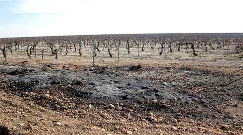 Foto 2 von Residential zum Verkauf in Bernardo (el), -1, Socuéllamos, Ciudad Real