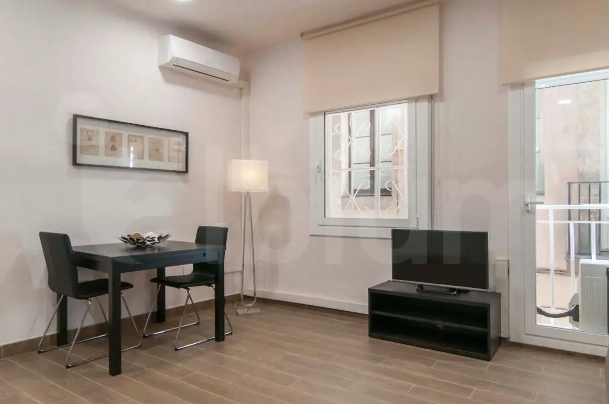 Sala de estar de Estudio de alquiler en Barcelona con Aire acondicionado, Calefacción y Amueblado