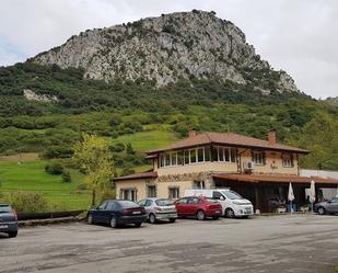 Geschaftsraum zum verkauf in Arenas de Cabrales, Cabrales