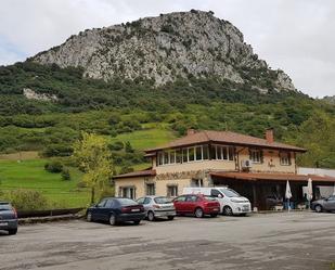 Premises for sale in Cabrales