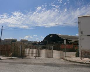 Exterior view of Country house for sale in Torredonjimeno