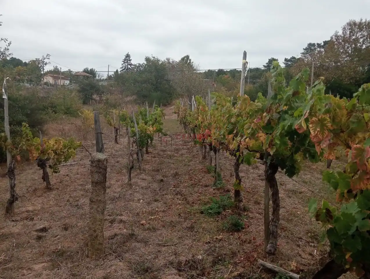 Residencial en venda en San Cibrao das Viñas
