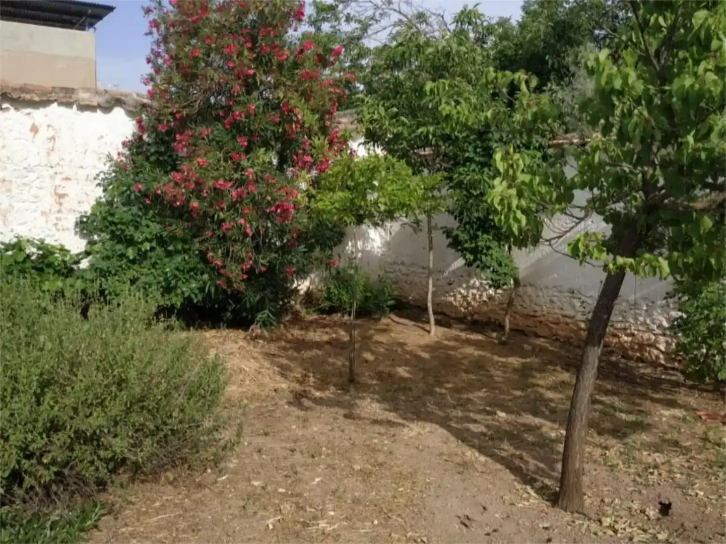 Jardí de Planta baixa en venda en Bolaños de Calatrava amb Jardí privat, Traster i Moblat