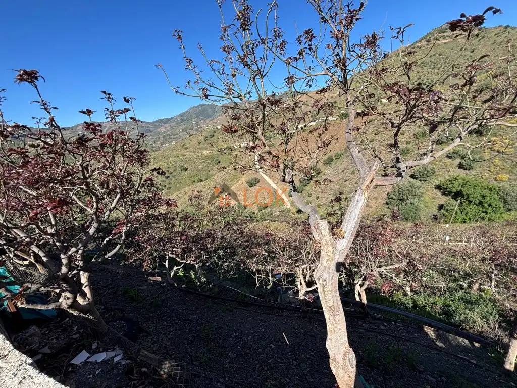 Houses for sale in El Borge  with Terrace and Swimming Pool