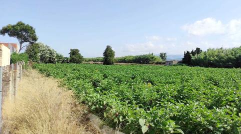 Photo 3 of Residential for sale in El Marenyet, Cullera