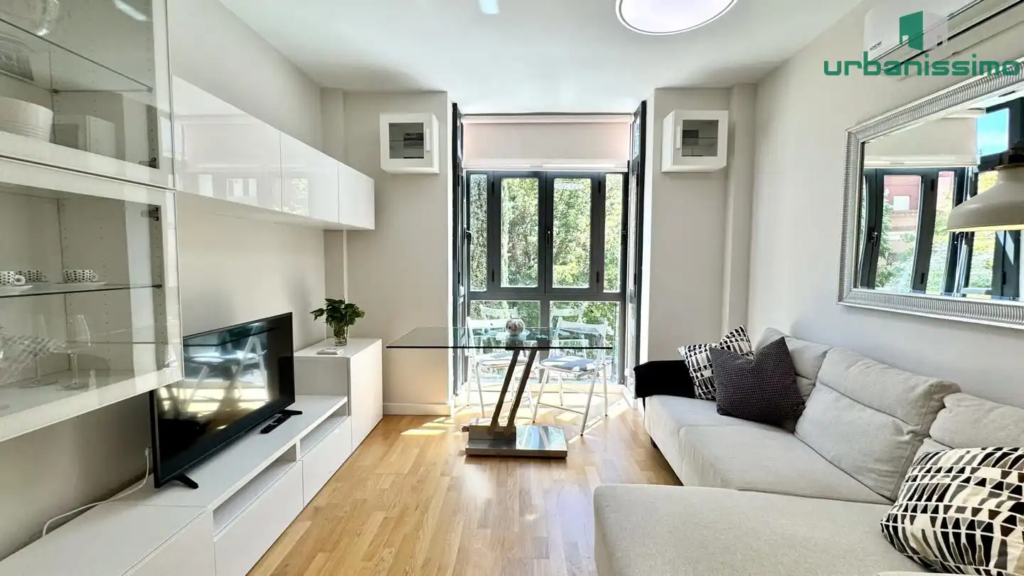 Sala d'estar de Apartament de lloguer en Madrid amb Aire condicionat, Traster i Moblat
