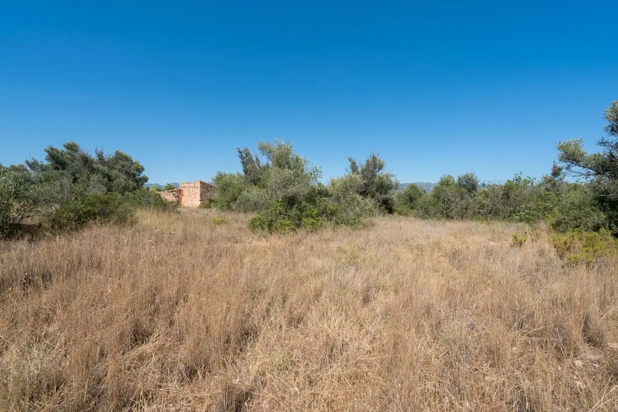 Terreno rustico in vendita a Jesús - Els Reguers, imagen 4