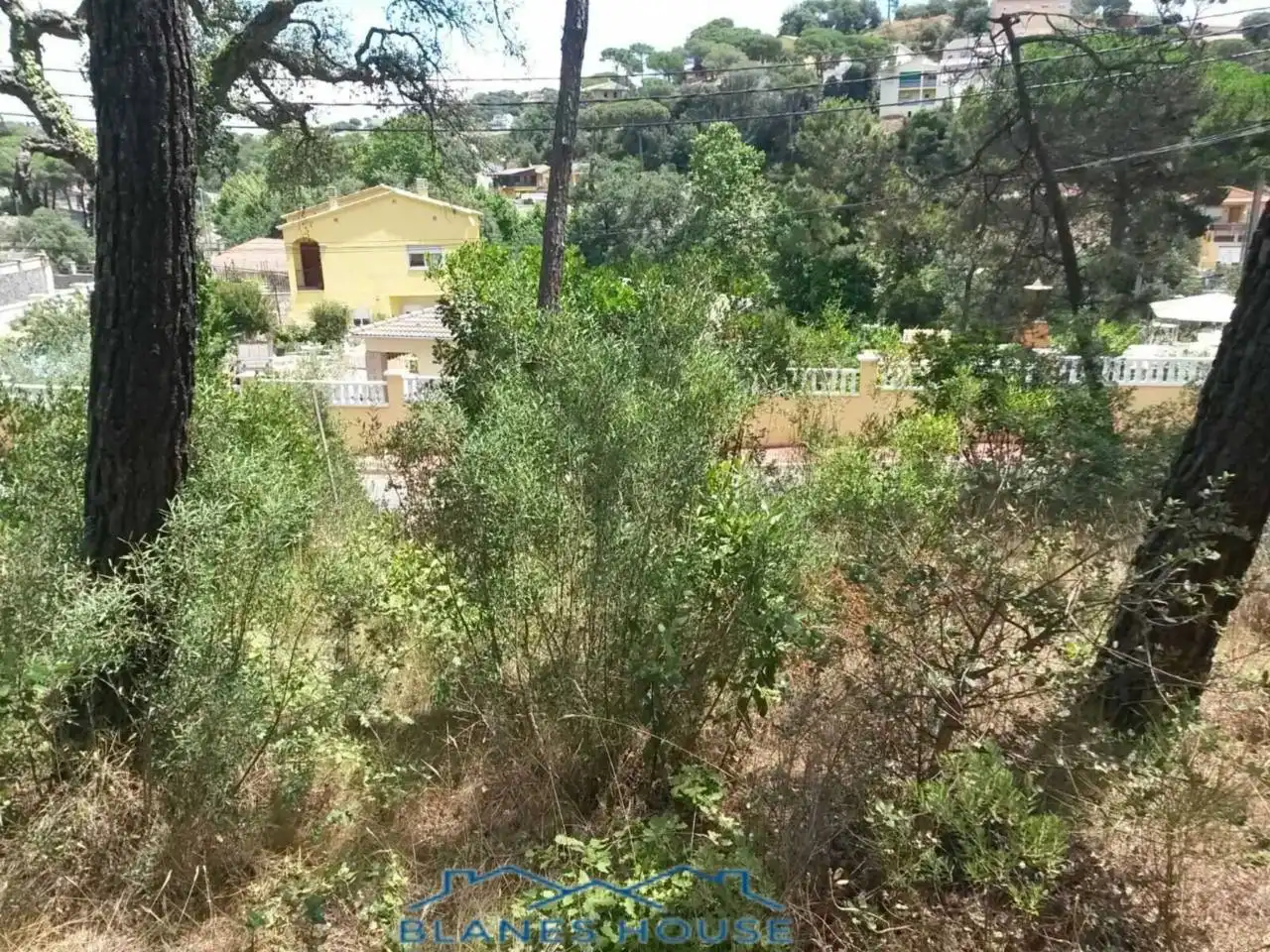 Rural land for sale in Calle MONTJUIC 8 E, imagen 4