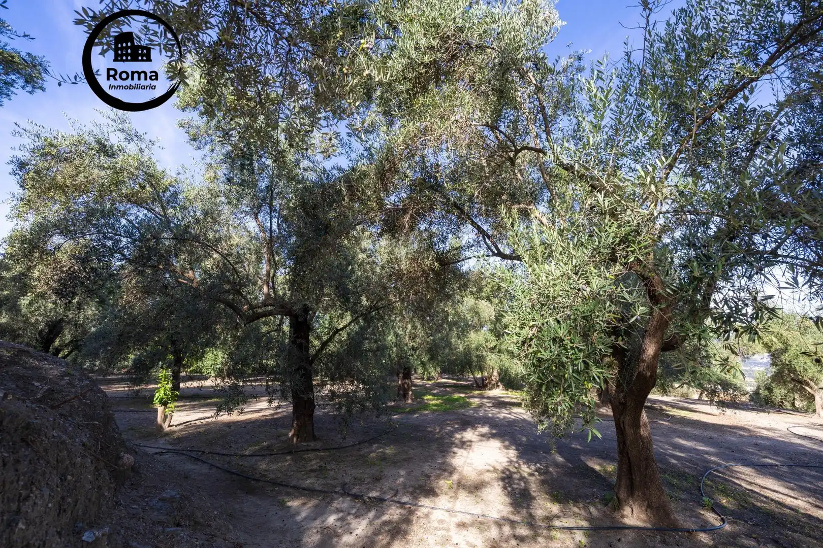 Terreni e lotti in vendita a El Pinar, imagen 67