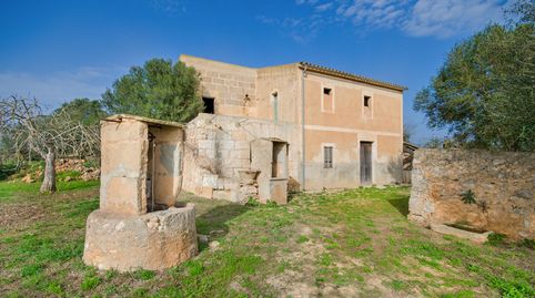 Terreno de 30.000 m2, casa para reformar y proyecto