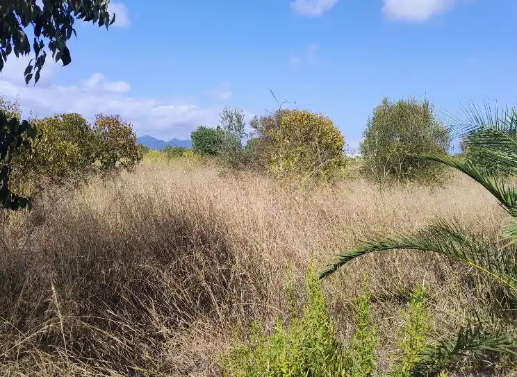 Terreno rustico in vendita a Este, imagen 7