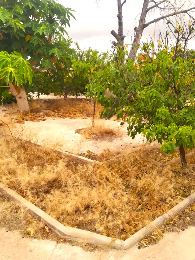 Casa o xalet en venda en Murcia amb Jardí privat