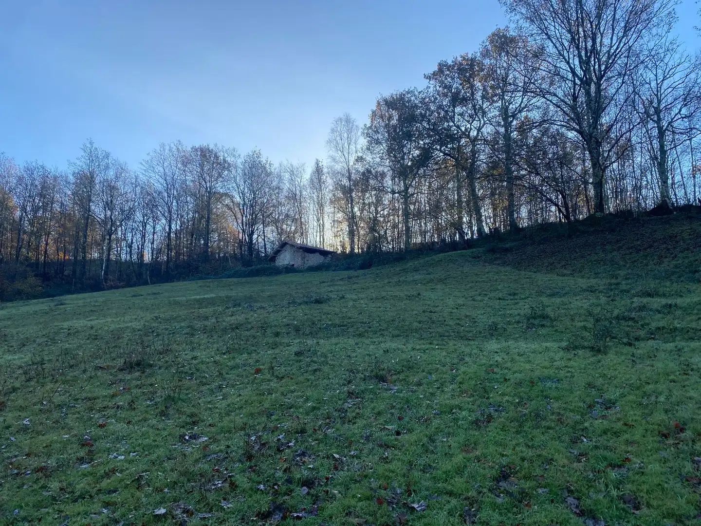 Terreno rustico in vendita a Cangas de Onís