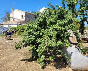 Jardí de Finca rústica en venda en Maó amb Aire condicionat, Calefacció i Terrassa