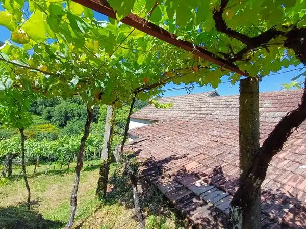 Haus mit Garten zum Verkauf in Rua Vilanova, imagen 10