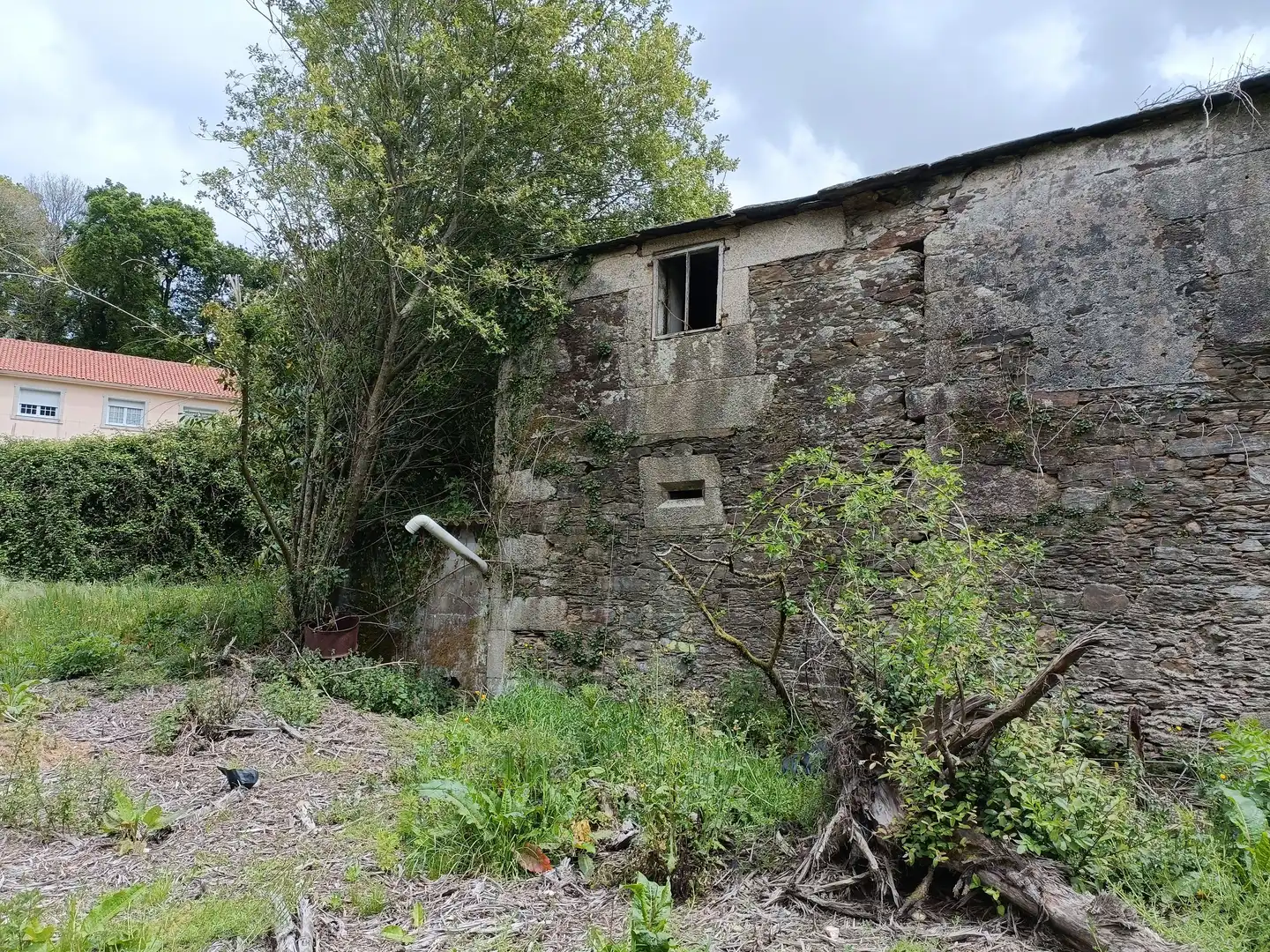 Vista exterior de Casa o xalet en venda en Aranga amb Jardí privat i Traster