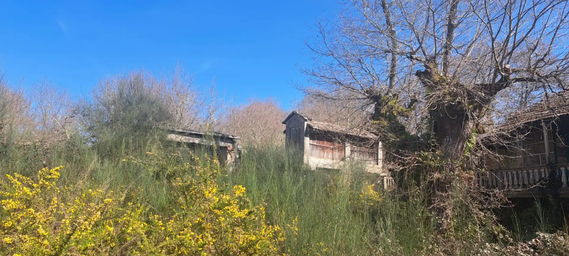 Rural land for sale in Vilamarín, imagen 3