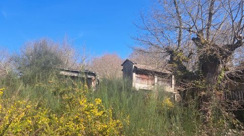 SE VENDEN PARCELAS RUSTICAS EN ZONA VILLAMARIN A TAMALLANCOS, imatge 3