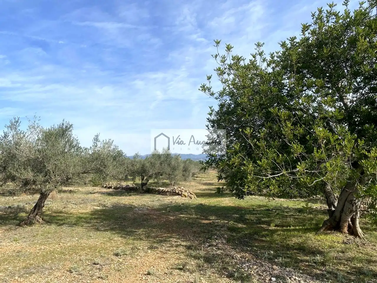 Terreno rustico in vendita a Planas, imagen 23