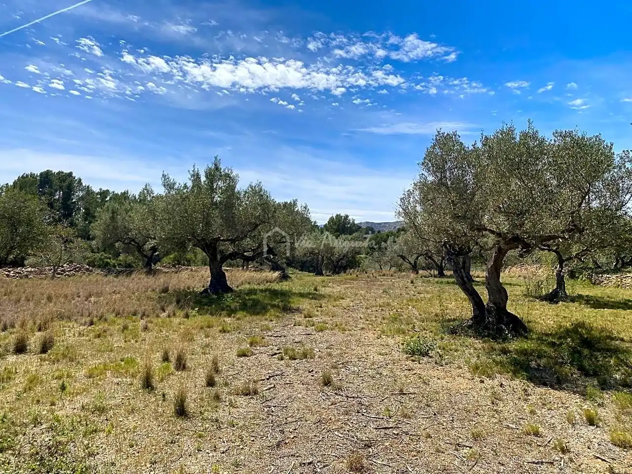 Terreno rustico in vendita a Mas de Baralluga, imagen 12
