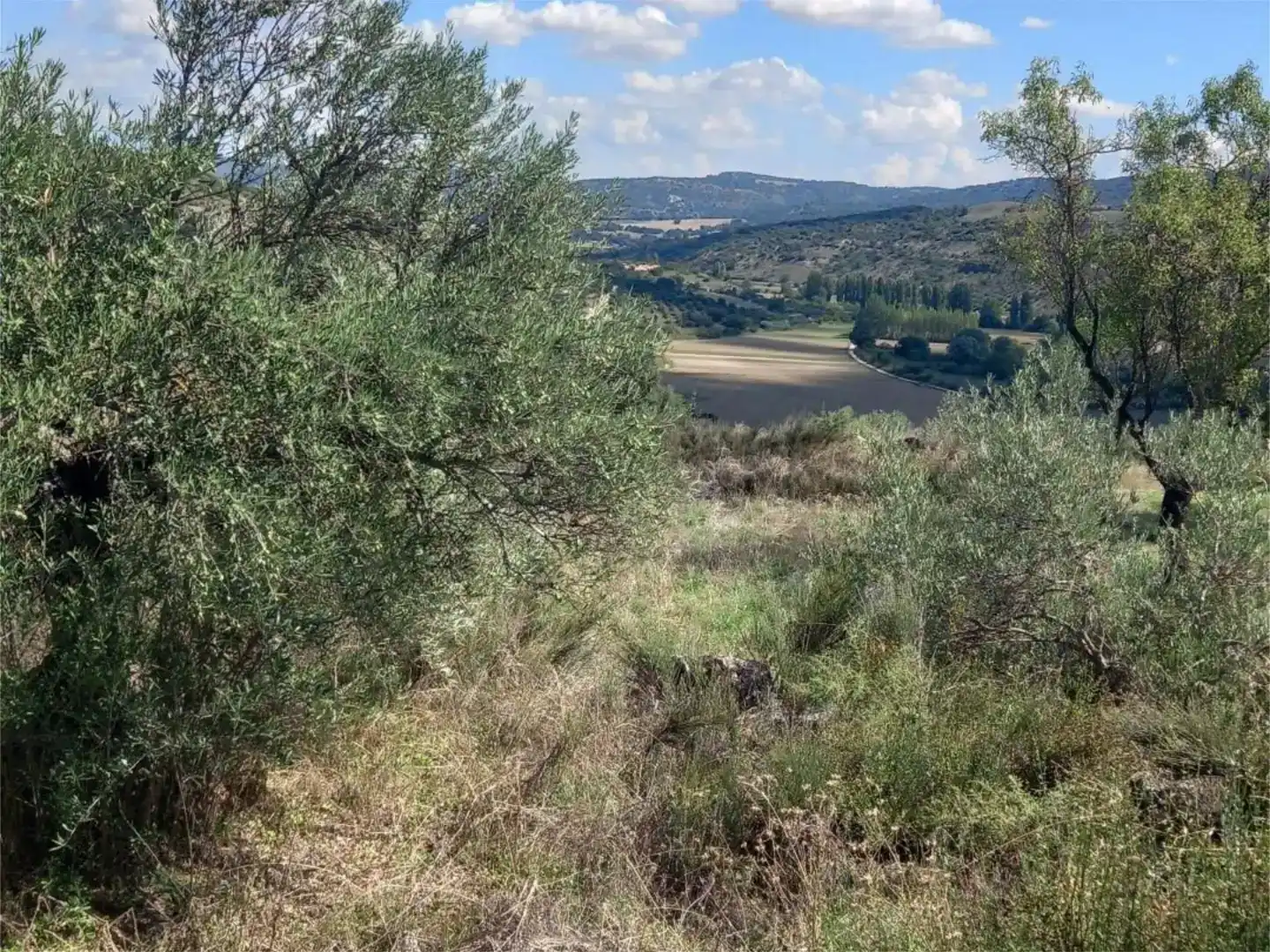 Casa o xalet en venda en Ambite amb Piscina