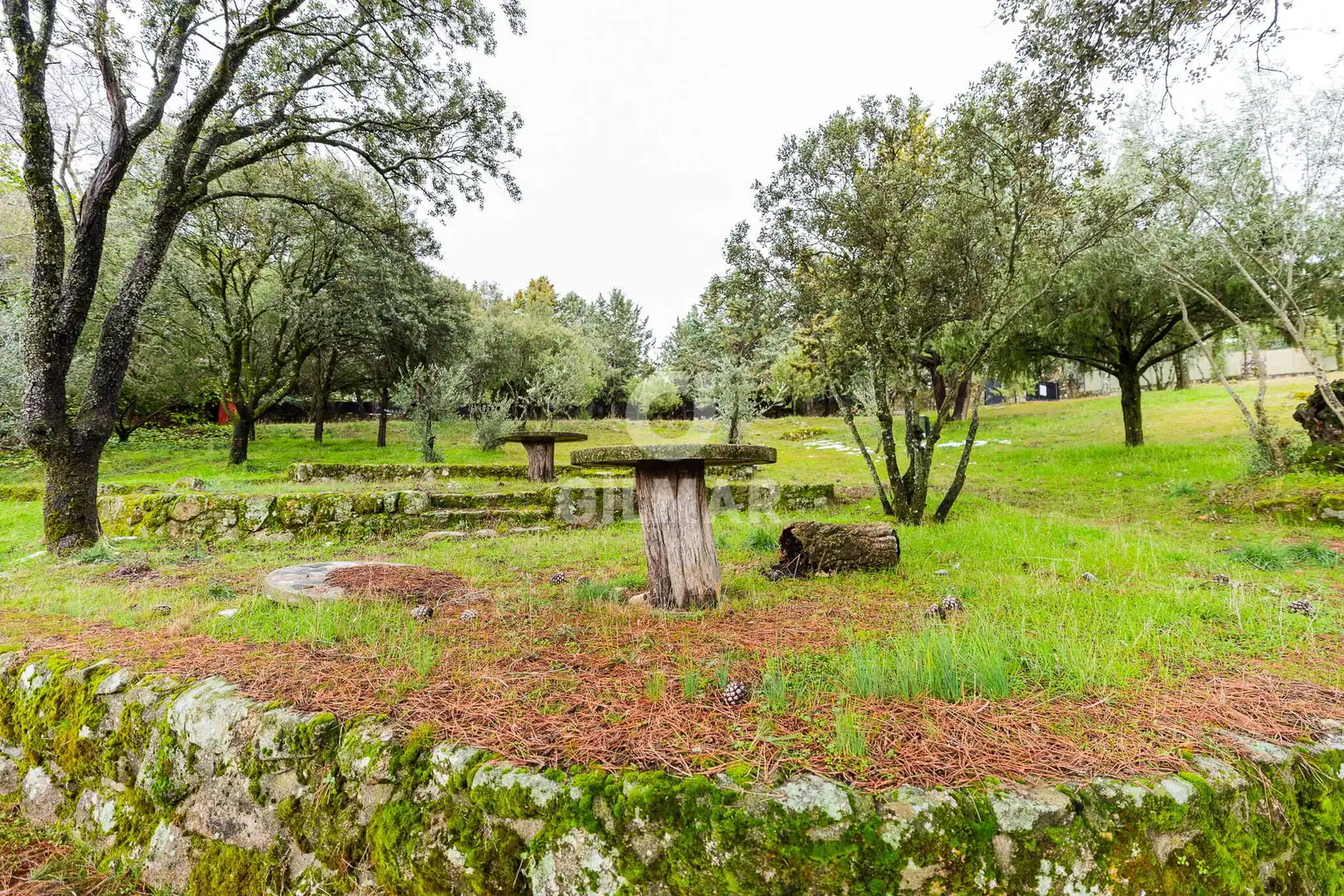 Casa o xalet en venda en Collado Villalba amb Calefacció i Jardí privat